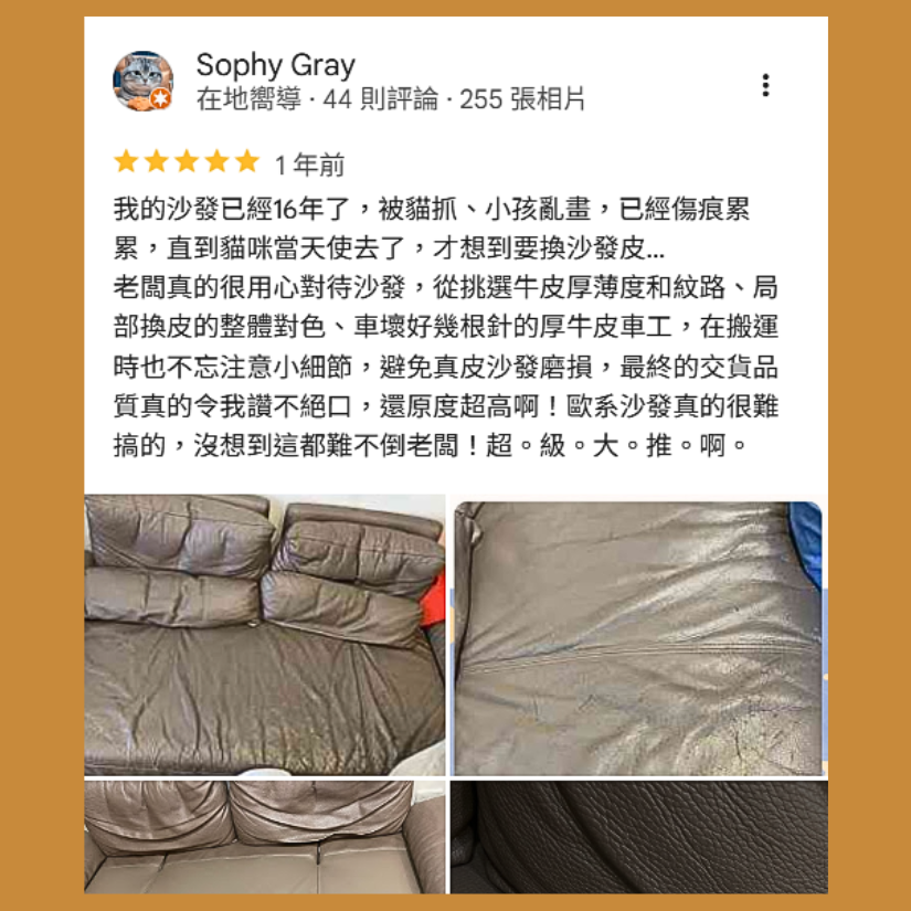 Sophy Review Evidence